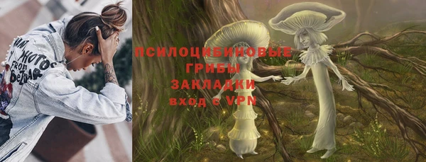 прущие грибы Алексин
